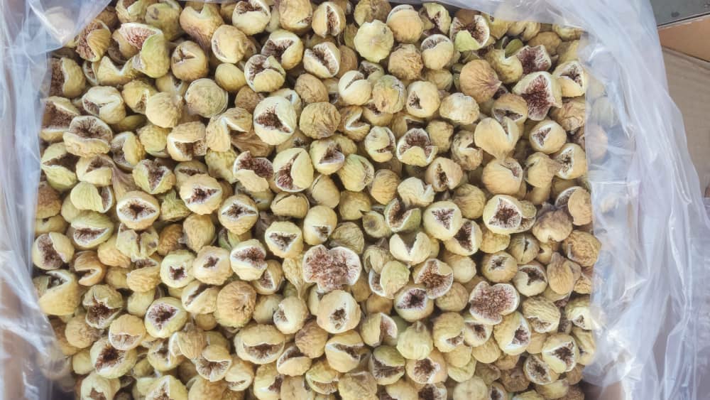خرید و فروش انجیر گنجشک خورده سایز متوسط (AA) + فروش عمده